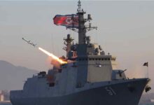 Cruise and Anti-Ship