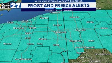 Freeze Alerts