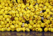 Bricks and Minifigs